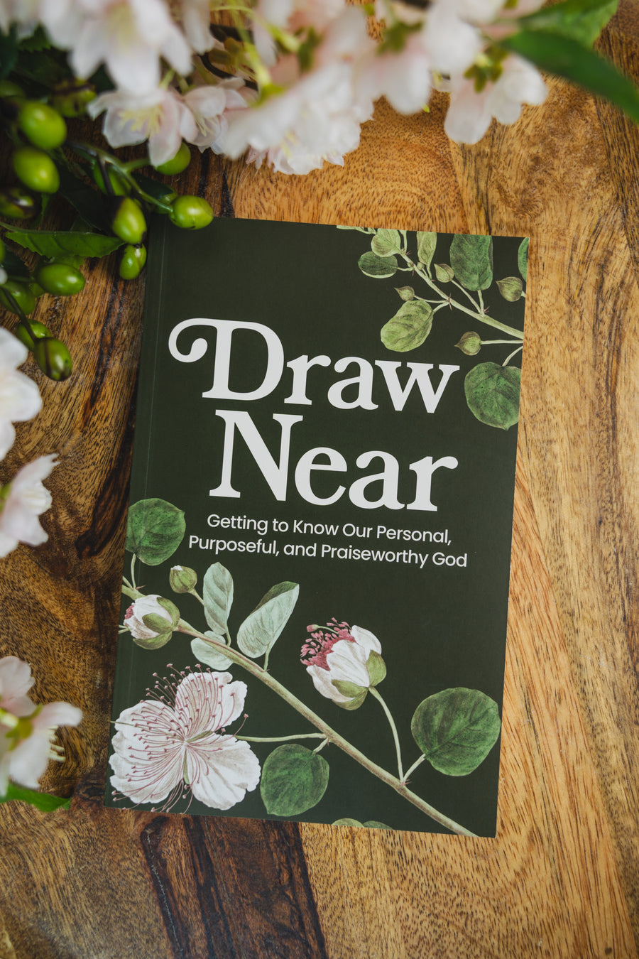 Sisters Draw Near Bible Study