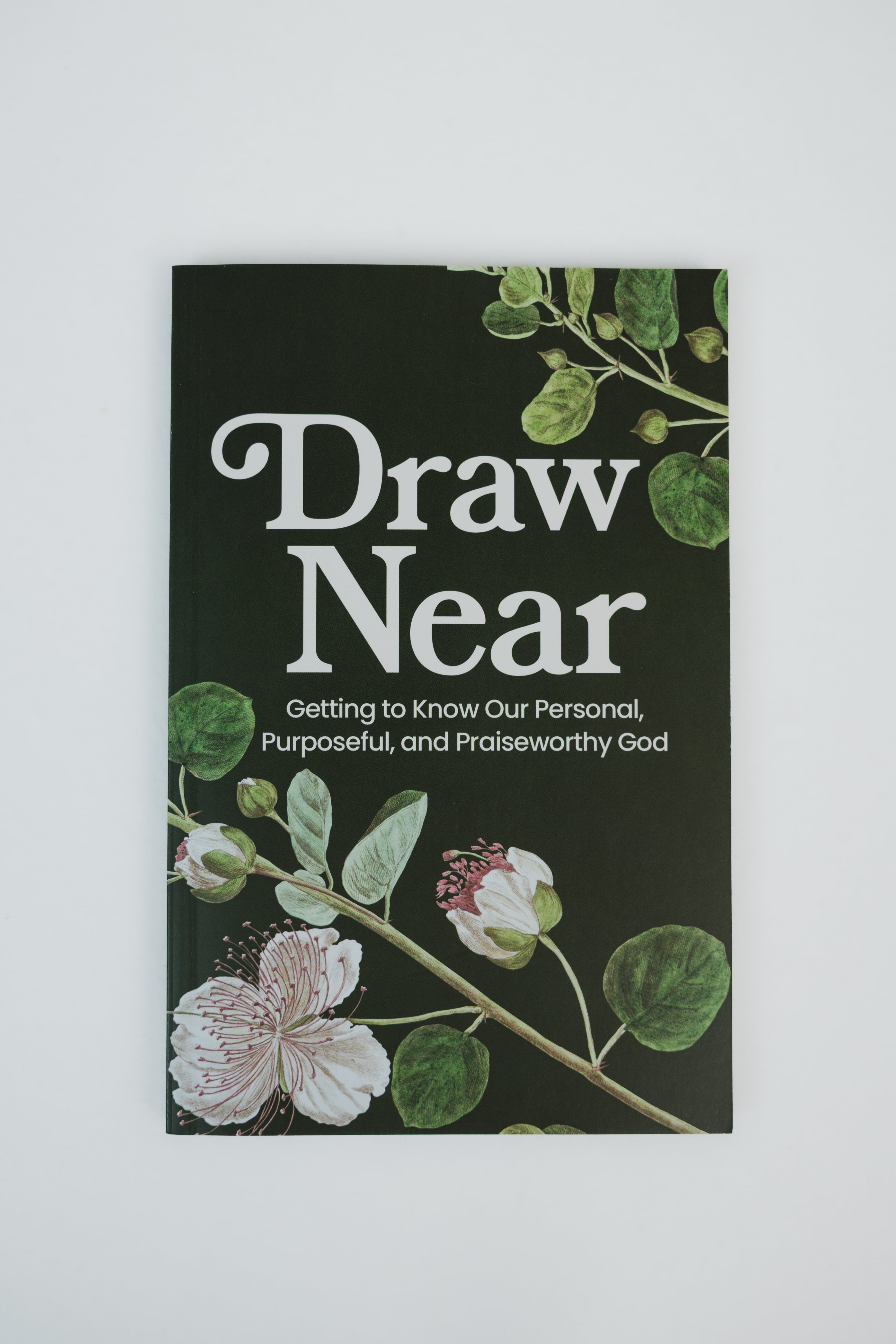 Sisters Draw Near Bible Study Digital Download